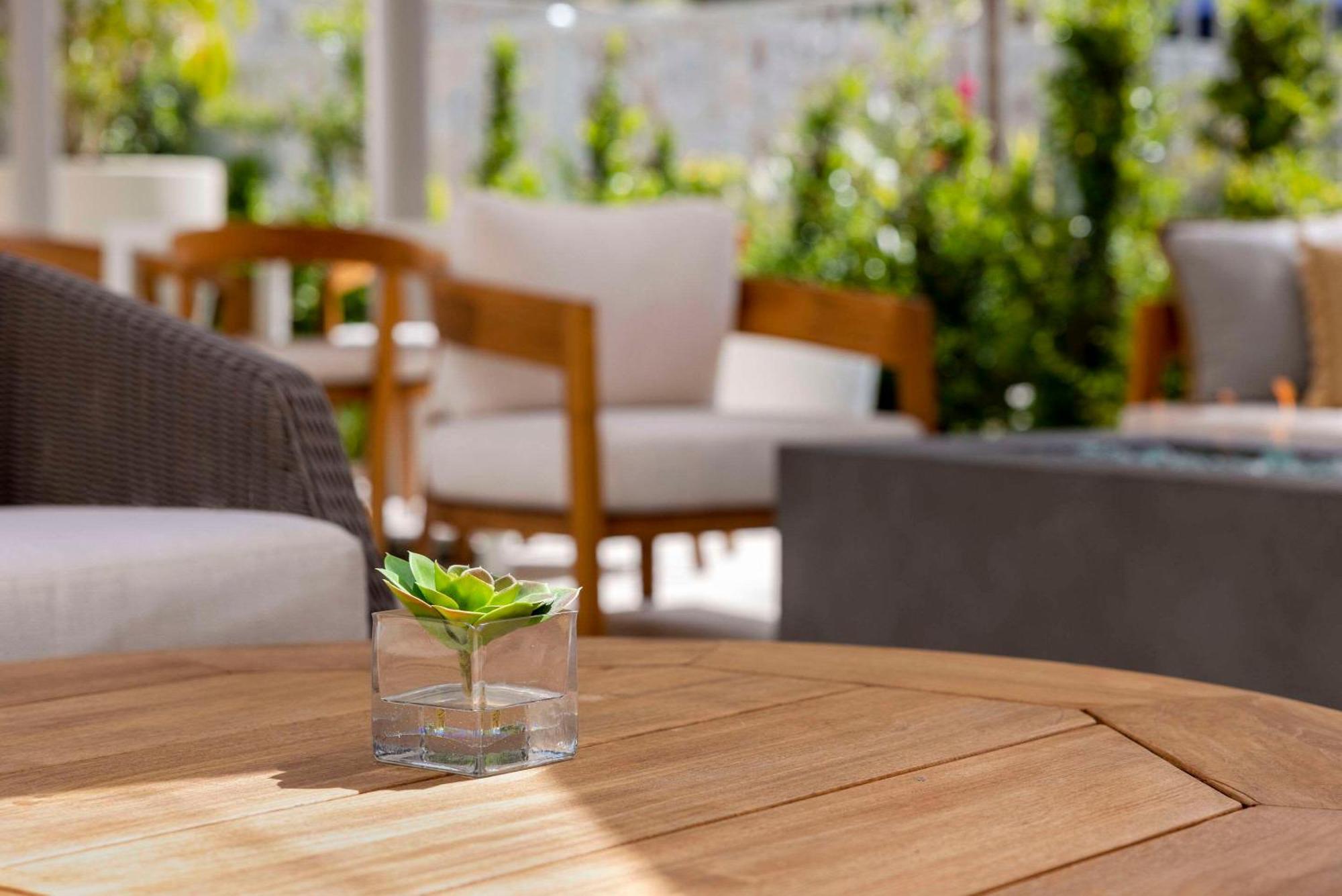 Cambria Hotel Calabasas - Malibu Экстерьер фото
